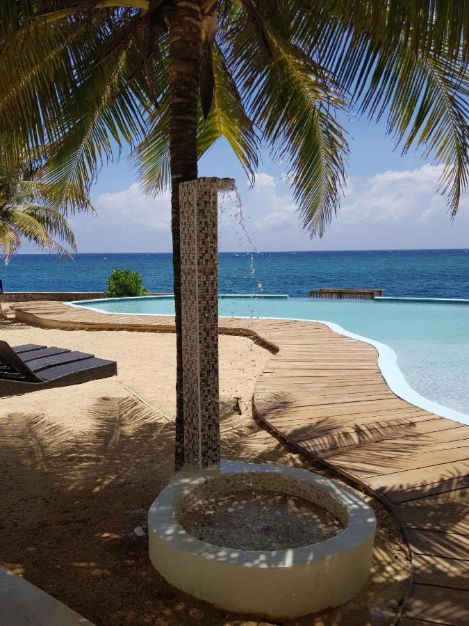 Whispering Seas Oceanfront Suite Ocho Rios Zewnętrze zdjęcie